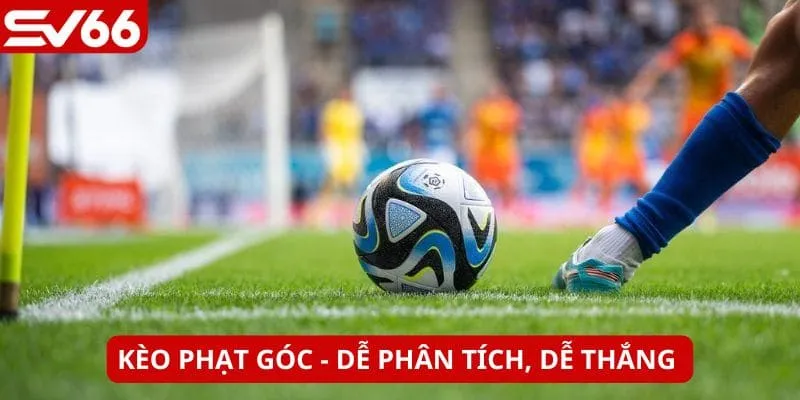 Kèo phù hợp với người mới và dân cá cược lâu năm