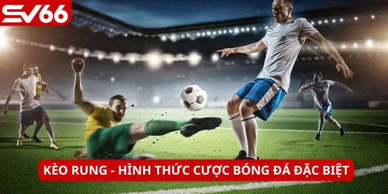 Người chơi đặt cược khi đấu bóng vẫn đang diễn ra