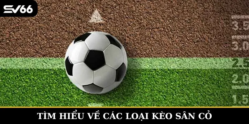 Kèo sân cỏ châu Á được nhiều người ưa chuộng