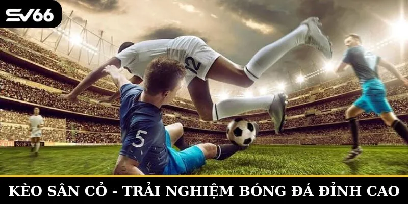 Kèo sân cỏ