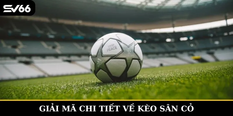 Theo dõi thông tin chi tiết từ nhà cái để có quyết định đúng đắn